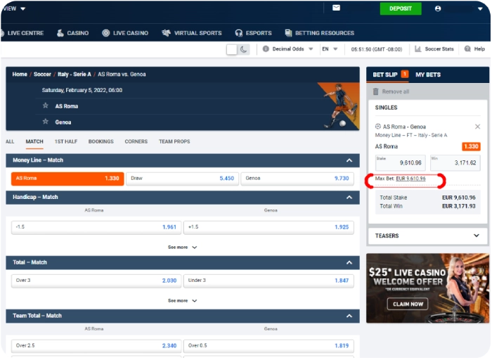 screenshot of pinnacle arbitrage friendly sportsbook