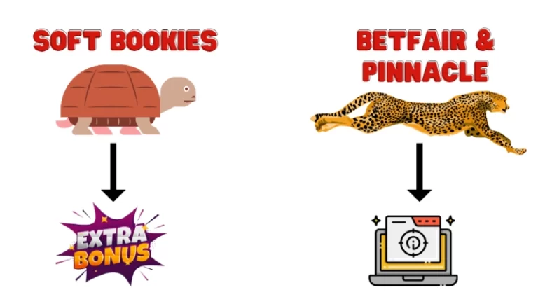 bookmaker types to use with matched betting